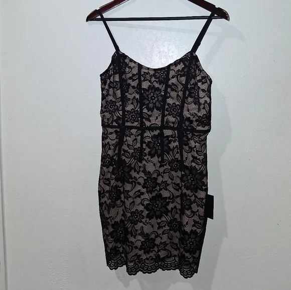 NWT LULU'S Swest Little Number Lace Mini Dress - Picture 3 of 8